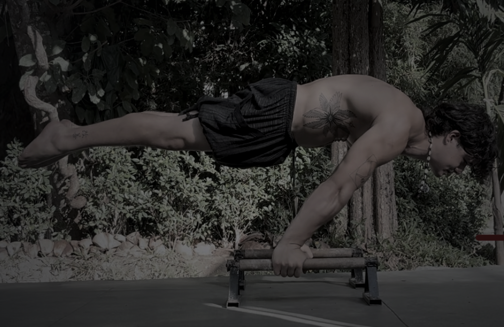planche hold